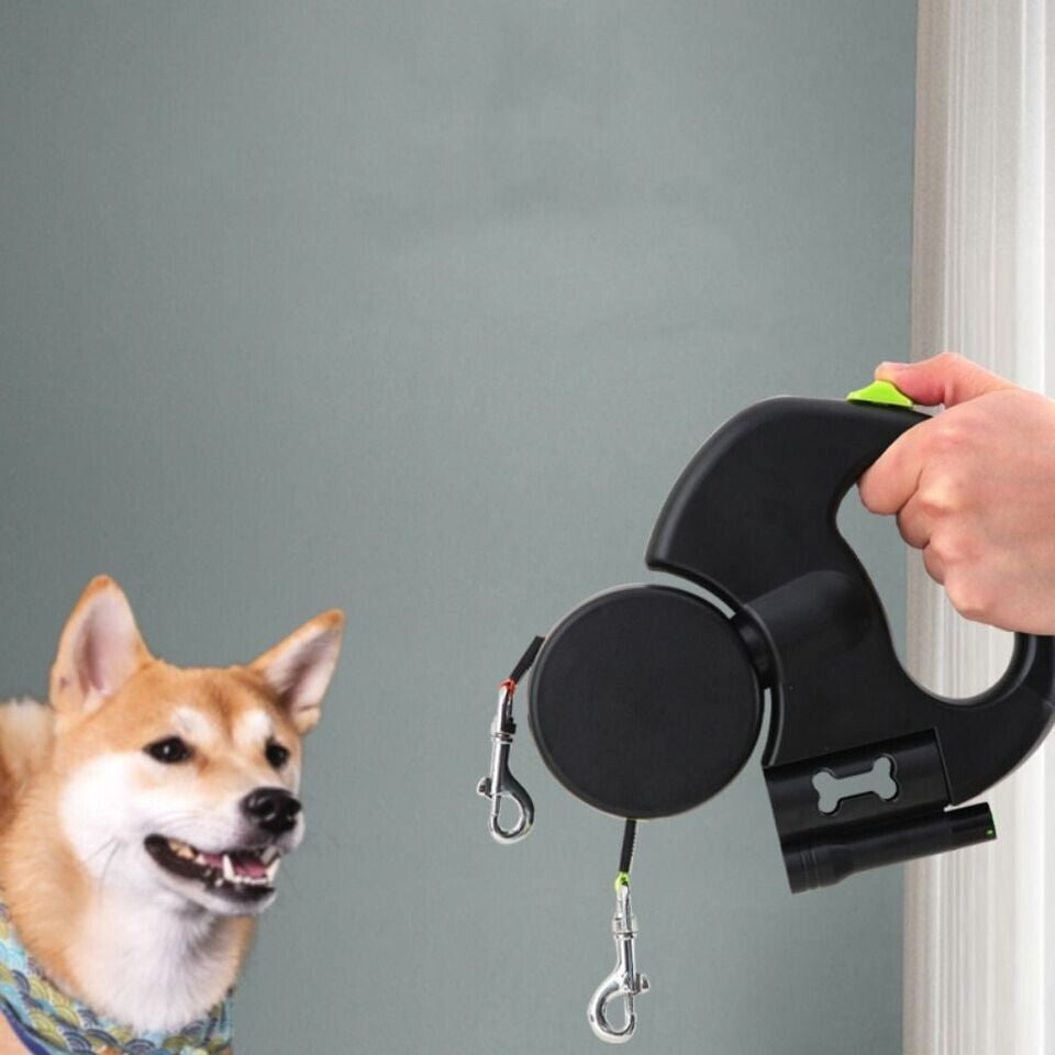 DualDogLeash TM