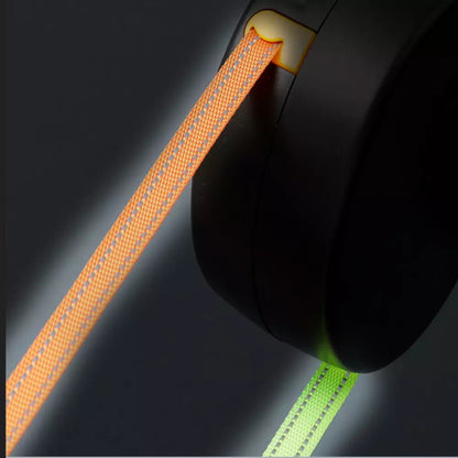 DualDogLeash TM